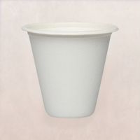 220ml Bagasse Cups for Hot and Cold Beverages
