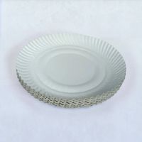 Disposable Paper Plates - 10 inches