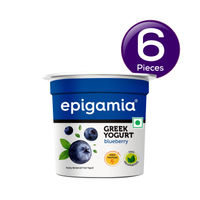 Epigamia Blueberry Greek Yogurt 90 gms Combo