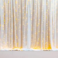 Festive/ Party Decoration Combo (2 Pcs Net Curtains, 1 Pc Led Lights, 2 Pcs Hanger, 1 Pc Ribbon) 