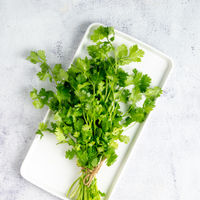 Coriander/Kothimeera - Cleaned, With roots