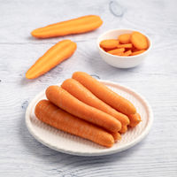 Carrot Ooty
