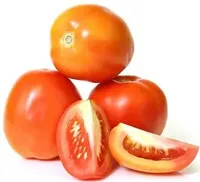 Tomato Hybrid