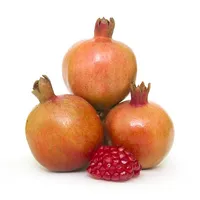 Pomegranate Regular