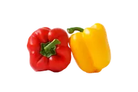 Capsicum Red & Yellow