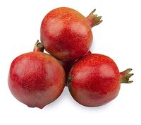 Pomegranate Regular