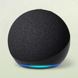 Amazon echo 2025 echo dot