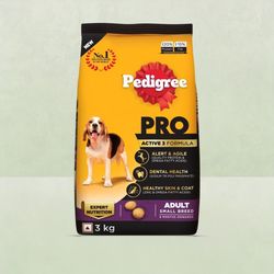 Pedigree active senior dry 2025 dog food