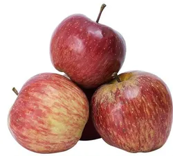 appe shimla.PNG