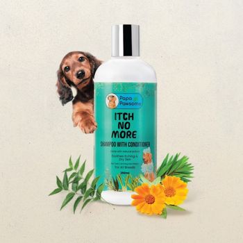 Papa Pawsome Itch No More Shampoo with Conditioner For Dog