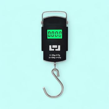 Desidiya Portable Electronic Hook Type Weighing Scale (Black)