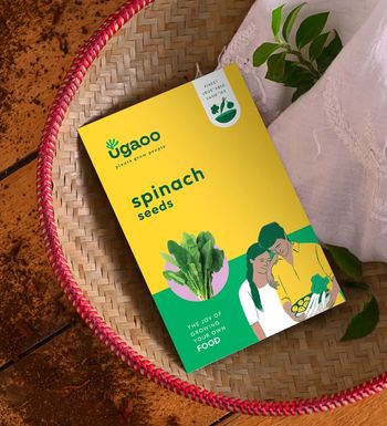 Ugaoo Spinach Seeds (Palak)