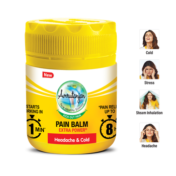 Amrutanjan Pain Balm Extra Power