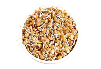 Horse Gram Sprouts