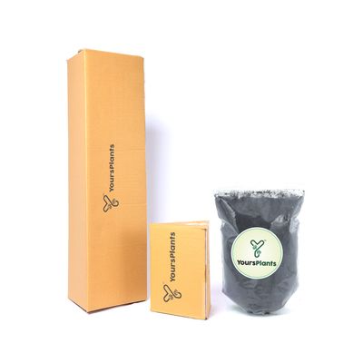 Yoursplants Vermicompost - Bag Pack