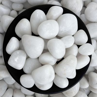 White Polished Pebbles Glossy Stones for Aquarium and Fish Tank 2Kg