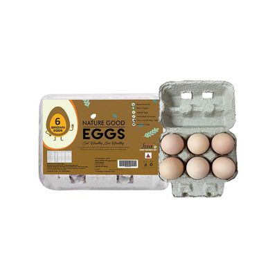 Nature Good Brown Egg Tray