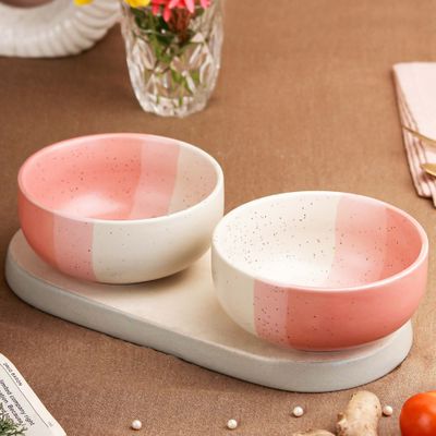 TT Pink Matte 2Pc Ceramic Bowl Gift Set, 500 ml Each Microwave Safe, Snack Serving