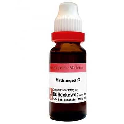 Hydrangea Mother Tincture Q