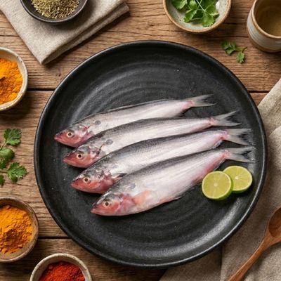 Total Pabda Fish
