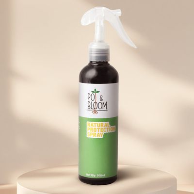 Protection Spray