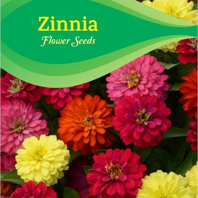 Zinnia Mixed Kgp Seeds