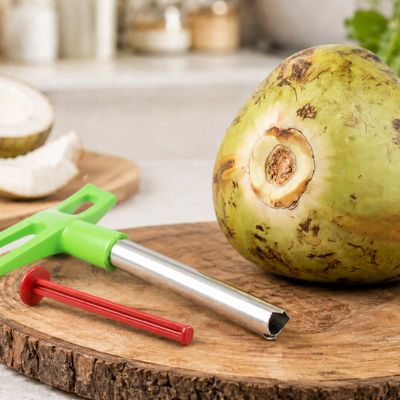 Everest Stainless Steel Coconut Opener