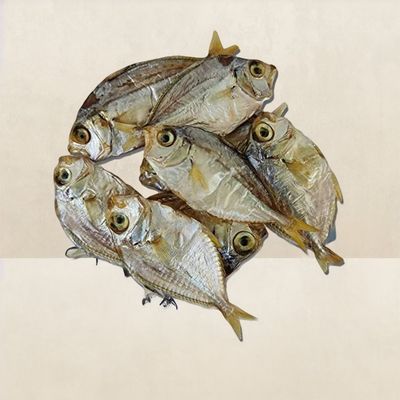 H.S Dry Para Fish (Small)