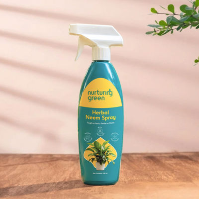 Herbal Neem Spray | Organic Solution for Pests in Home & Balcony Plants