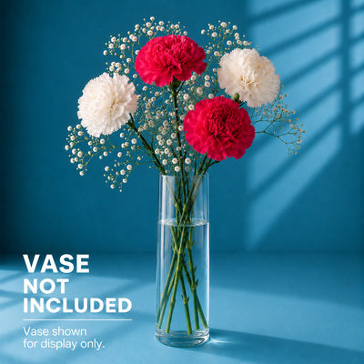DIY Edition 4 Mix Carnations Stem