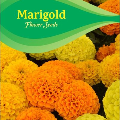 Marigold African Mix Seeds