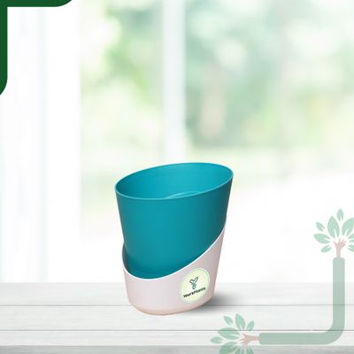 Atlantis - 4 Inch Teal Pot | Pack Of 1