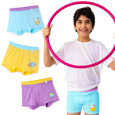 Superbottoms Supersoft Boys Trunk | 6-8y | Stretchy & Breathable - Pack of 3 | Assorted