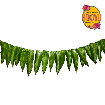Hoovu Fresh Mango Thorana