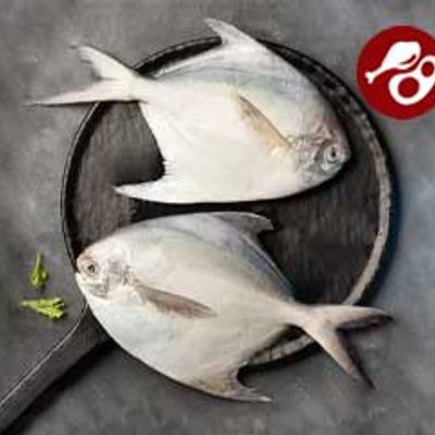 Kolkata Meat Pomfret Whole Fish