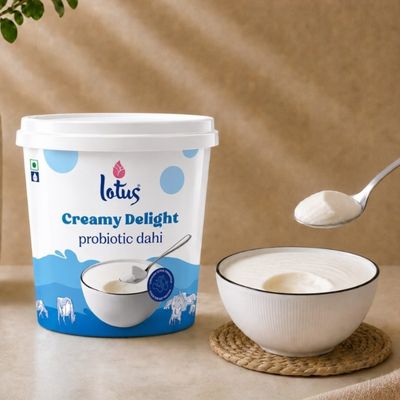 Lotus Creamy Delight Probiotic Dahi Tub