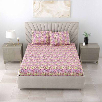 Dream Lover 104 TC 100% Cotton Violet & Pink Super King Size Bedsheet 2 Pillow Cover