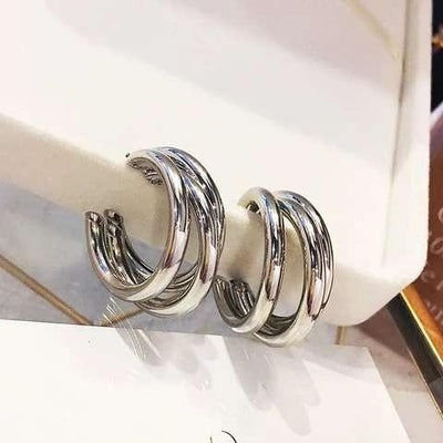 Women's Jewellery Earrings Silver | One Size