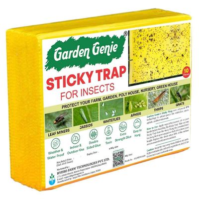 Sticky Traps | Sticky Pad for Flying Insect, Thrips, White Flies for Home
