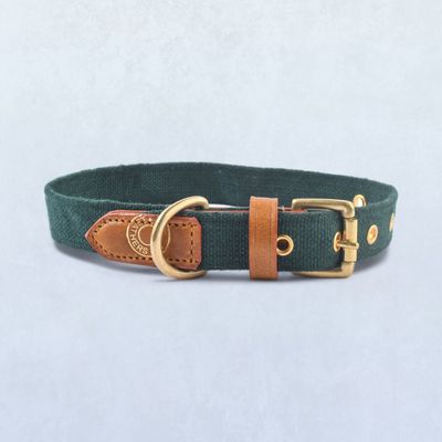 Vama Leathers Dog Collar Sustainable And Ecofriendly Natural Cotton & Brass-20-25 X 1.25 Army Green