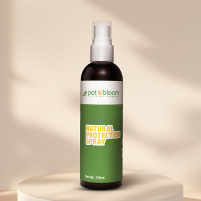 Protection Spray