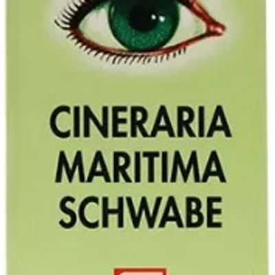 Dr Willmar Schwabe Cineraria Maritima Schwabe Eye Drop