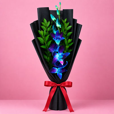 Single Blue Orchid in Black Paper | Gifting