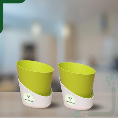 Atlantis - 4 Inch Yellow Pot | Pack Of 2