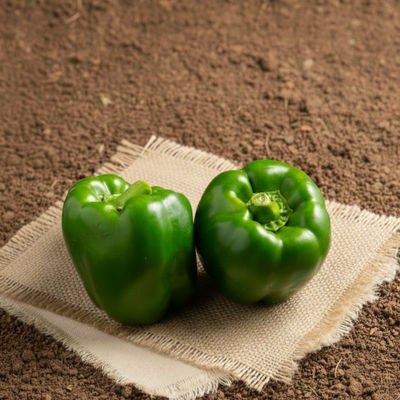 Organically Grown Capsicum Green