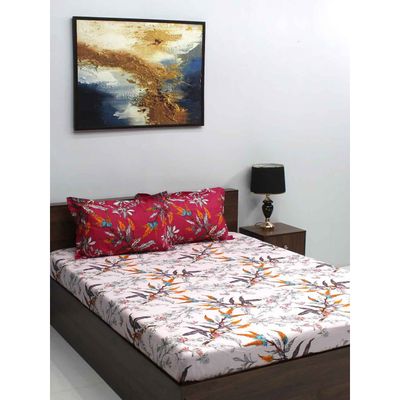 Ivyrose 110 Tc 100% Cotton Queen Bedsheet With 2 Pillow Covers - Orange Rust