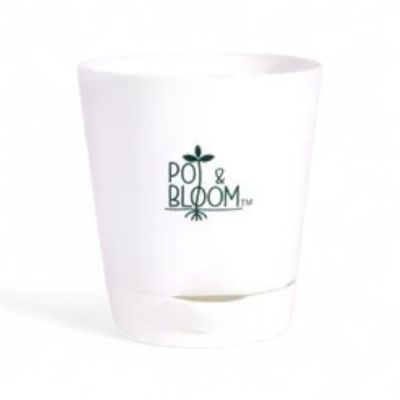 Pot And Bloom 4 Inch Self Watering Pot - White