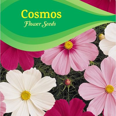 Cosmos Mixed Kgp Seeds