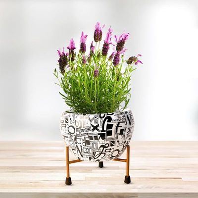 Peng Essentials Reva Home Dcor Vase With Stand I Desktop/Bedroom Corner Table/Home Dcor Centepiece