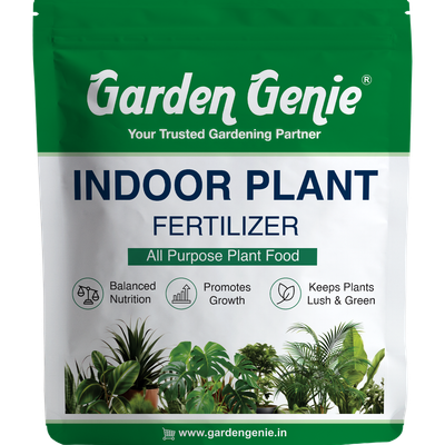 Indoor Plant Fertilizer | Organic Plant Khad for jade, zz, money plant etc